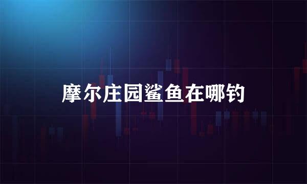 摩尔庄园鲨鱼在哪钓