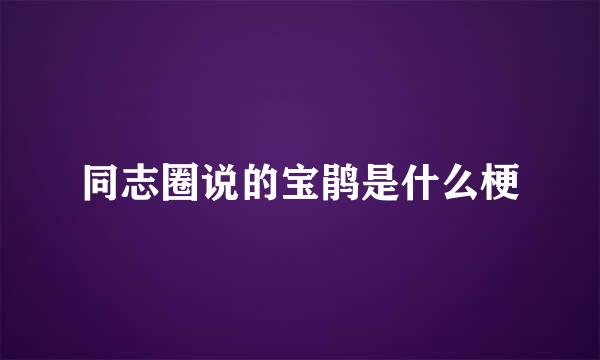 同志圈说的宝鹃是什么梗