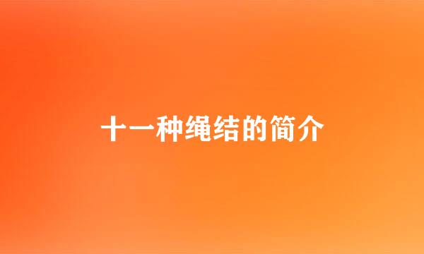 十一种绳结的简介