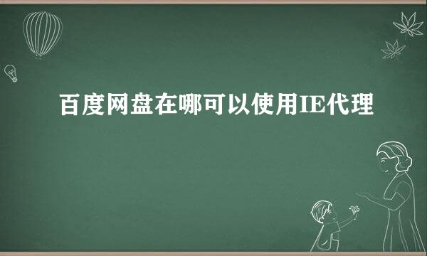 百度网盘在哪可以使用IE代理