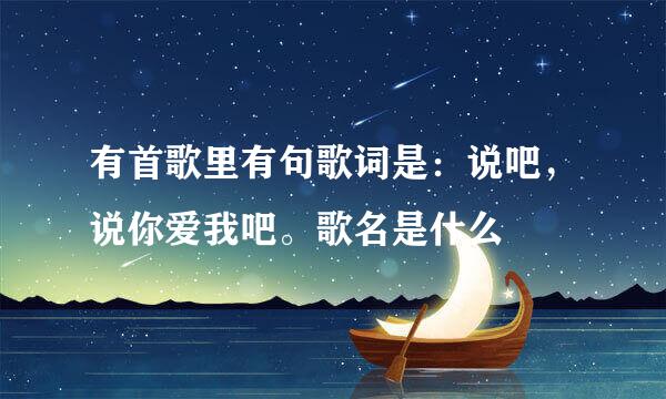 有首歌里有句歌词是:说吧,说你爱我吧。歌名是什么