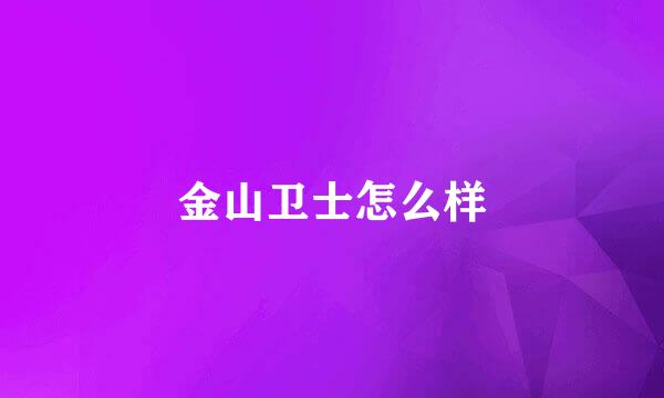 金山卫士怎么样