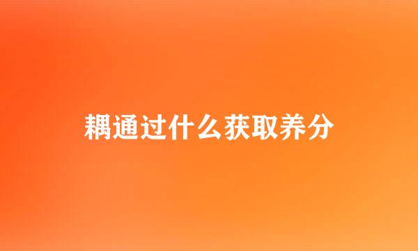 耦通过什么获取养分