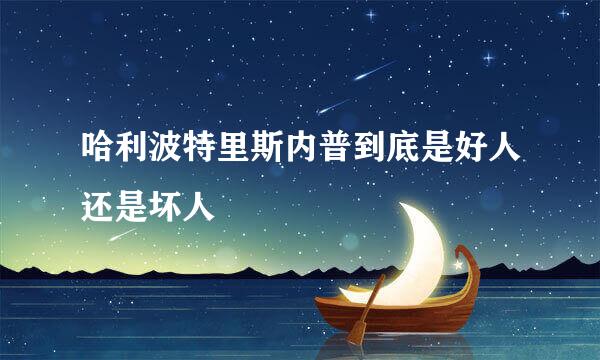 哈利波特里斯内普到底是好人还是坏人