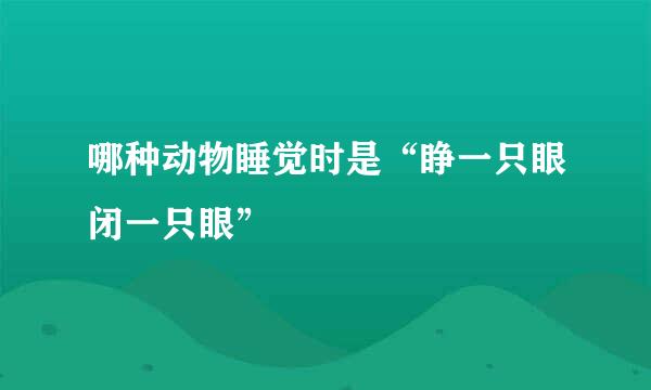哪种动物睡觉时是“睁一只眼闭一只眼”