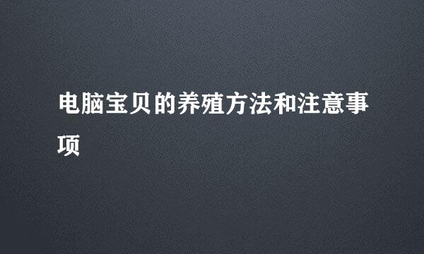 电脑宝贝的养殖方法和注意事项