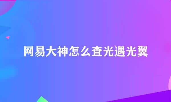 网易大神怎么查光遇光翼