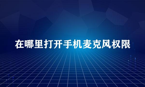 在哪里打开手机麦克风权限