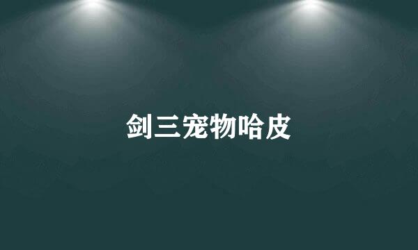 剑三宠物哈皮