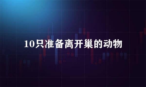 10只准备离开巢的动物