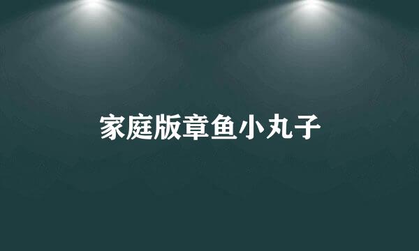 家庭版章鱼小丸子