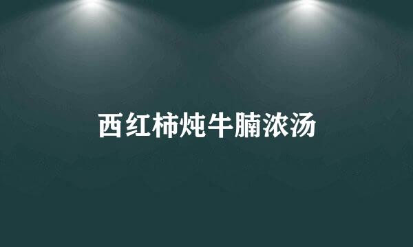 西红柿炖牛腩浓汤