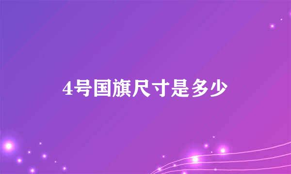 4号国旗尺寸是多少