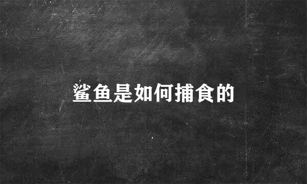 鲨鱼是如何捕食的