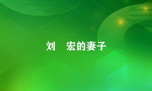 刘畊宏的妻子