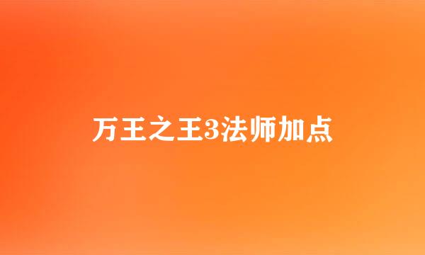 万王之王3法师加点