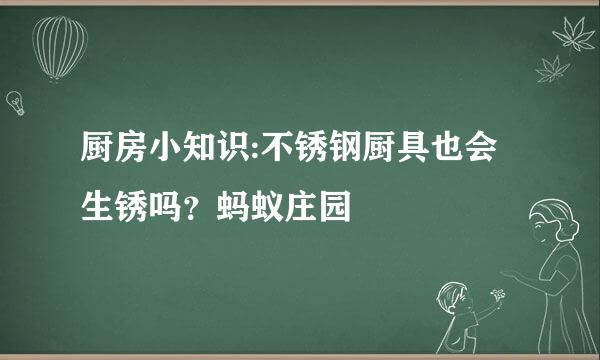 厨房小知识:不锈钢厨具也会生锈吗？蚂蚁庄园