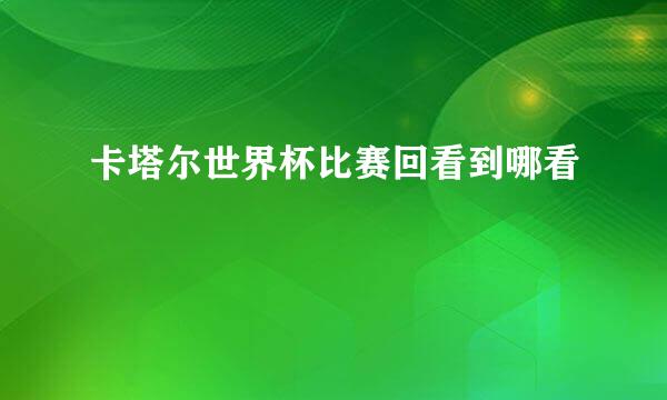 卡塔尔世界杯比赛回看到哪看