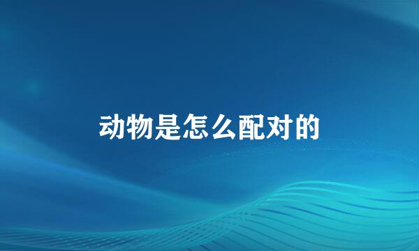 动物是怎么配对的