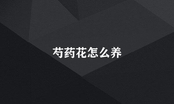 芍药花怎么养