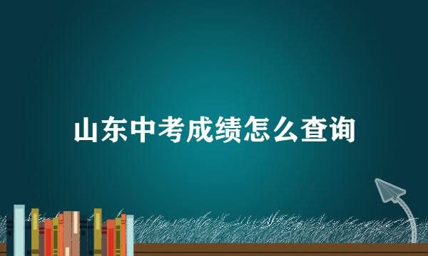 山东中考成绩怎么查询
