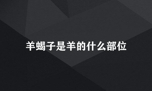 羊蝎子是羊的什么部位