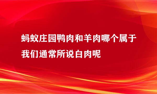 蚂蚁庄园鸭肉和羊肉哪个属于我们通常所说白肉呢