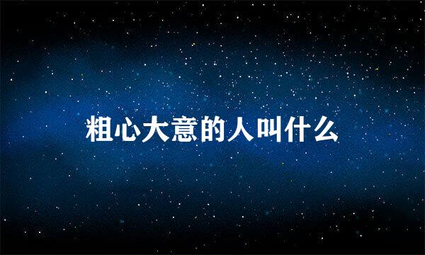 粗心大意的人叫什么