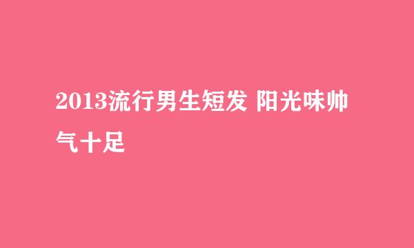 2013流行男生短发 阳光味帅气十足