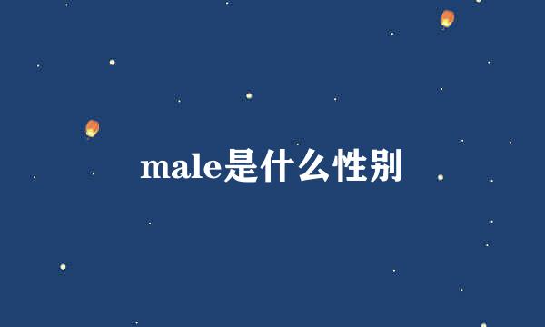 male是什么性别