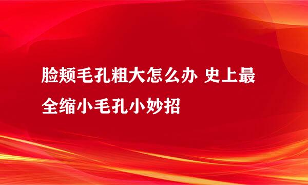 脸颊毛孔粗大怎么办 史上最全缩小毛孔小妙招