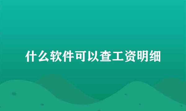 什么软件可以查工资明细