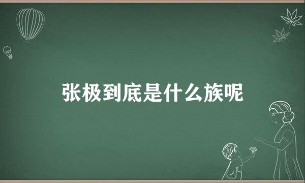 张极到底是什么族呢