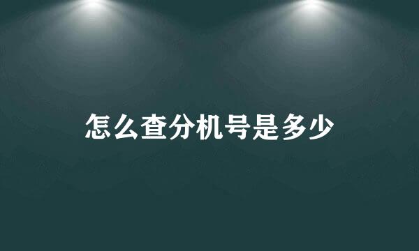 怎么查分机号是多少