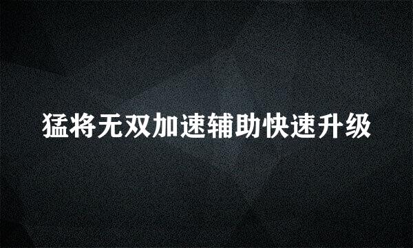猛将无双加速辅助快速升级