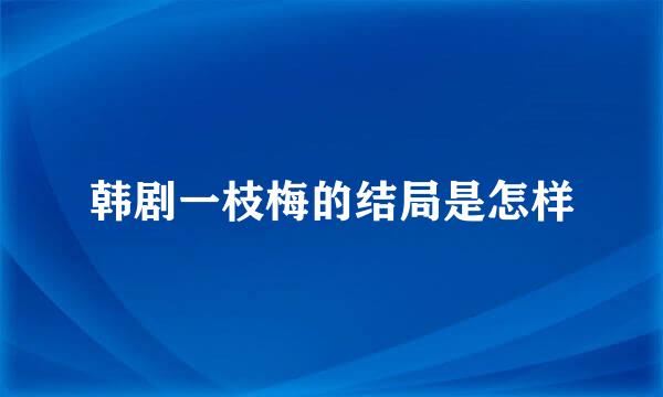 韩剧一枝梅的结局是怎样