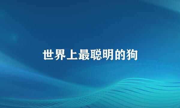 世界上最聪明的狗
