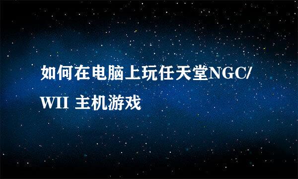 如何在电脑上玩任天堂NGC/WII 主机游戏