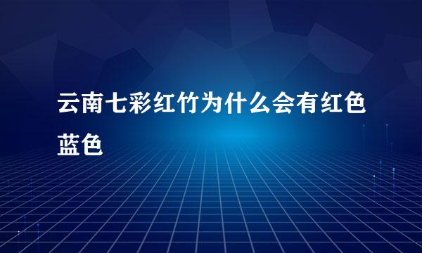 云南七彩红竹为什么会有红色蓝色