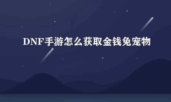 DNF手游怎么获取金钱兔宠物