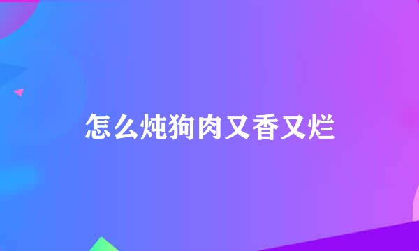 怎么炖狗肉又香又烂