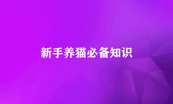 新手养猫必备知识