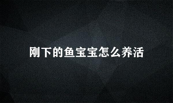 刚下的鱼宝宝怎么养活