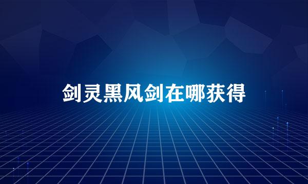剑灵黑风剑在哪获得
