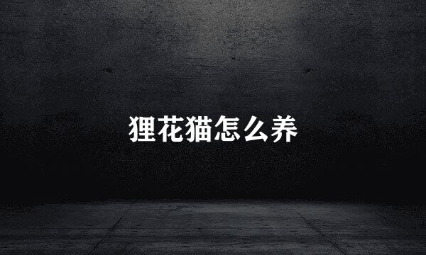 狸花猫怎么养