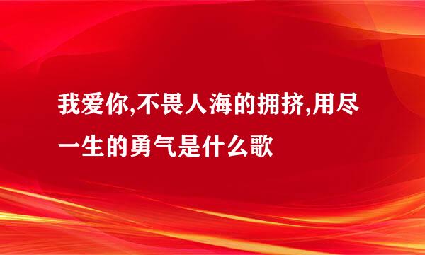 我爱你,不畏人海的拥挤,用尽一生的勇气是什么歌