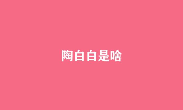 陶白白是啥