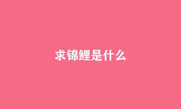 求锦鲤是什么