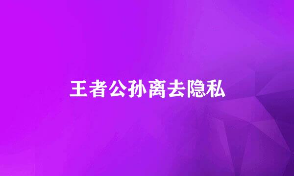 王者公孙离去隐私
