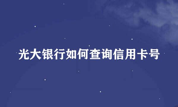 光大银行如何查询信用卡号
